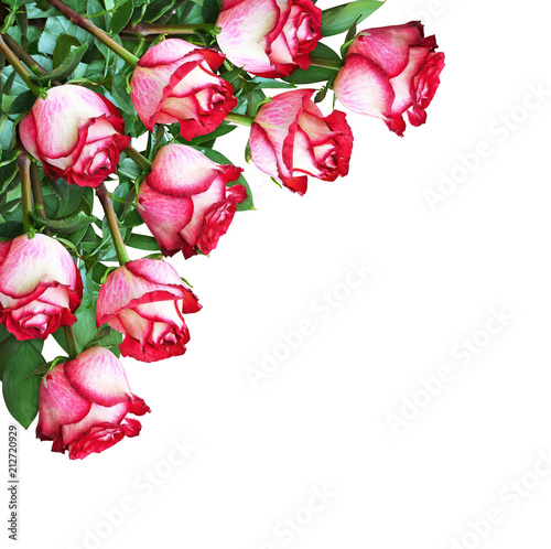 Bouquet of red and white ro...