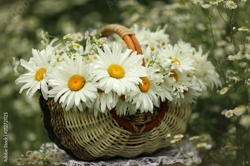 Wicker basket with garden daisies.
