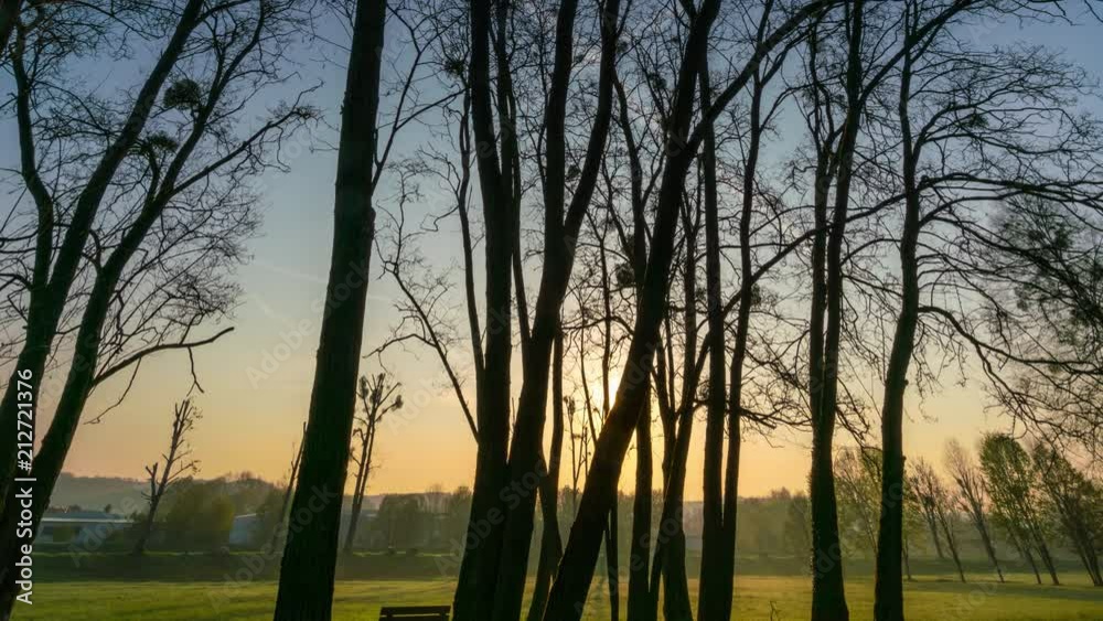 sunrise on the background of the silhouette of the trees time lapse sunrise on the background of the silhouette of the trees time lapse
