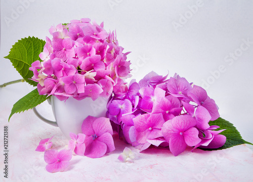 bouquet of pink hydrangea flowers in a white cup on a white background with light