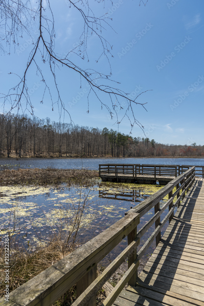 Fototapeta premium Pocahontas State Park