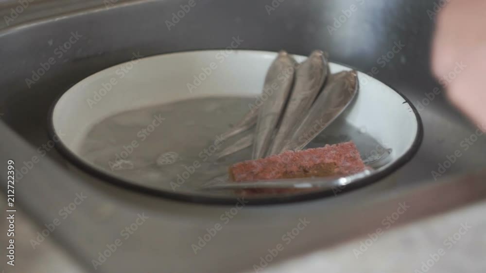 man washes the cutlery in the sink with a sponge and detergent man washes the cutlery in the sink with a sponge and detergent