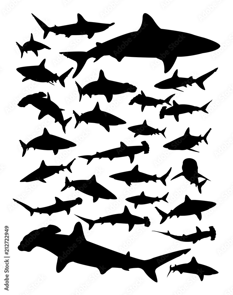 Fototapeta premium Silhouette of shark. Good use for symbol, logo, web icon, mascot, sign, or any design you want.