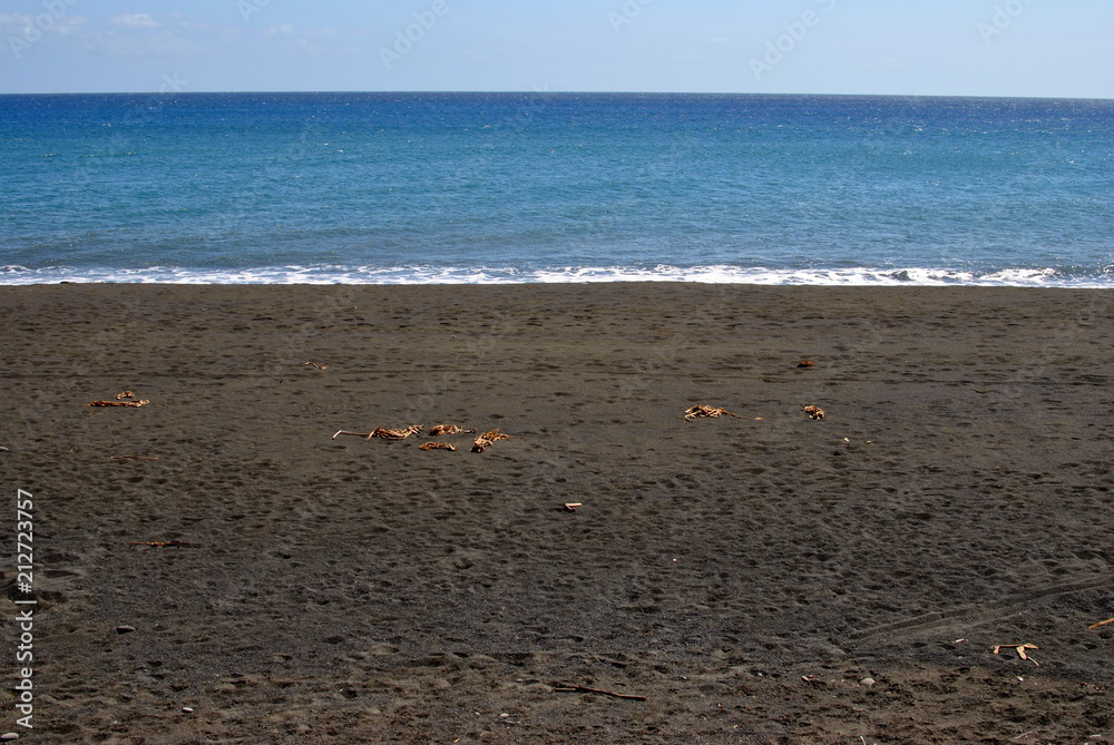 Reunion island seascape, landscape. Black sand, volcanic rocks.