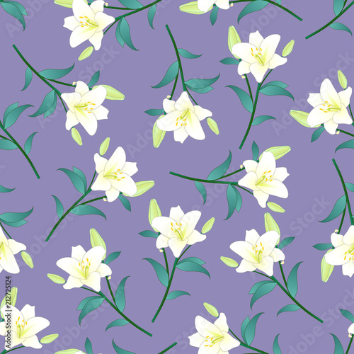 White Lily on Purple Backgr...