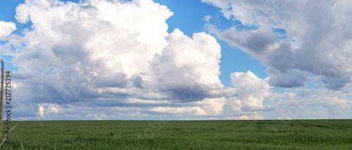 Blue sky with cumulus white clouds over a green field in summer