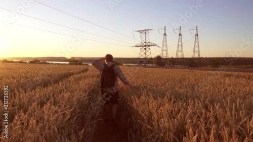 A traveler walks the wheat field, towards the sun