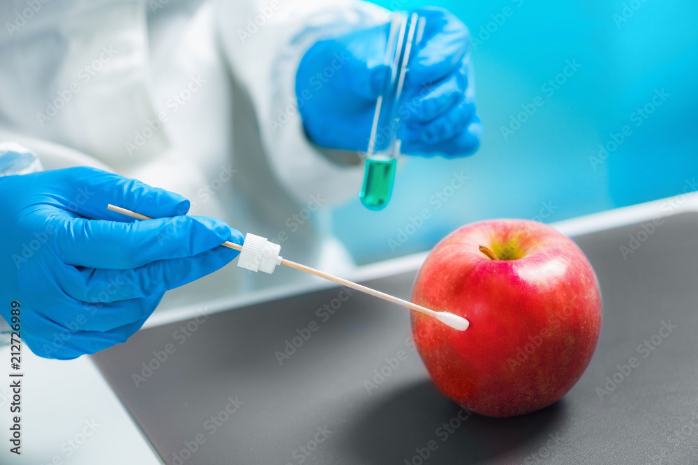 Biologist examining apple for pesticides Biologist examining apple for pesticides