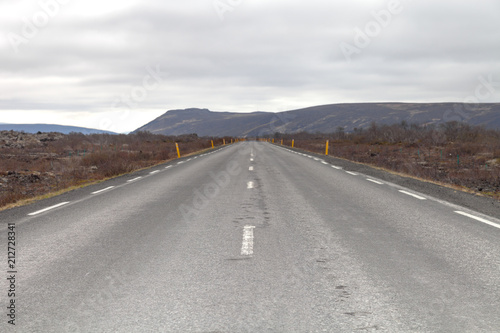Asphalt road on the beautiful landscape in the east of Iceland.