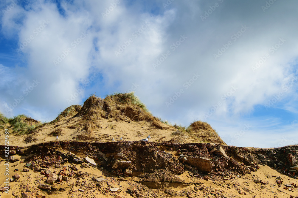Sand dune with birds. Summer time. Sand dune with birds. Summer time.