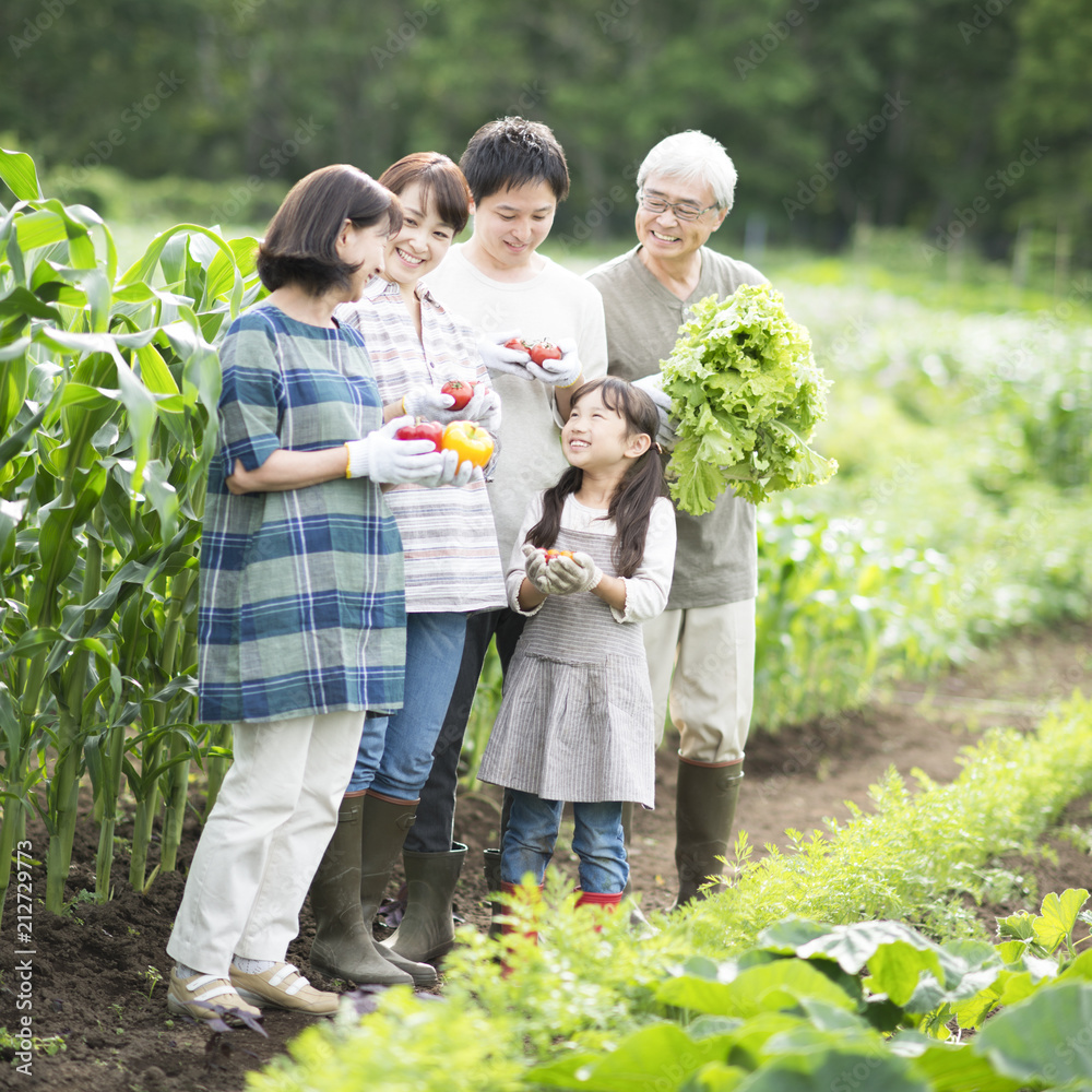 収穫した野菜を持ち微笑む3世代家族 収穫した野菜を持ち微笑む3世代家族