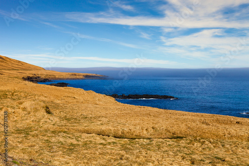 Grass on the stony coast of the fjord in the east of Iceland