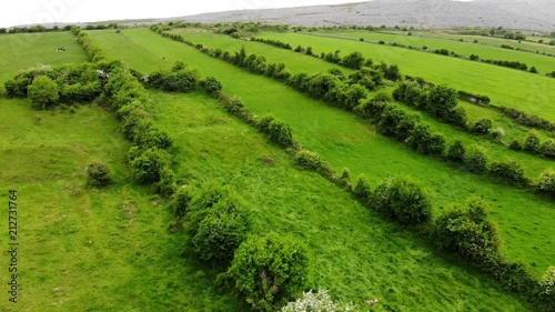Flug über die grüne Heckenlandschaft Irlands