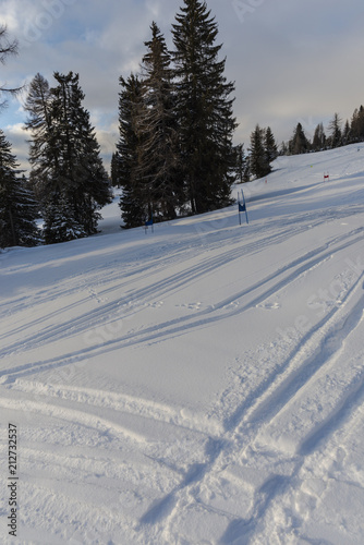 Ski resort in Dolomites Mountains, Carreza , Italy © somra