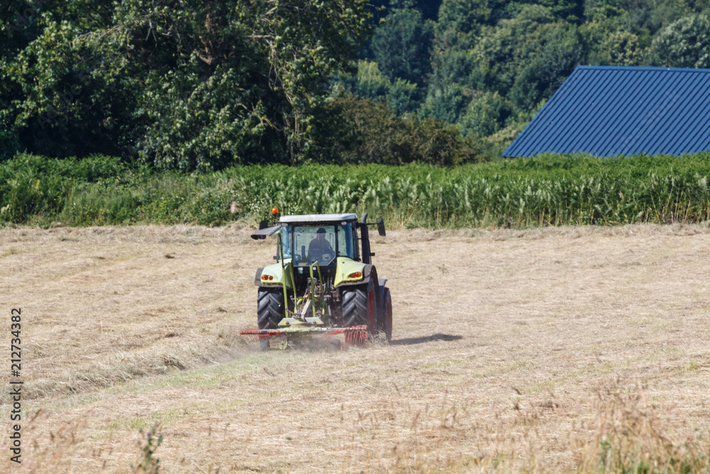 Tracteur passant la faneuse dans un champ de foin