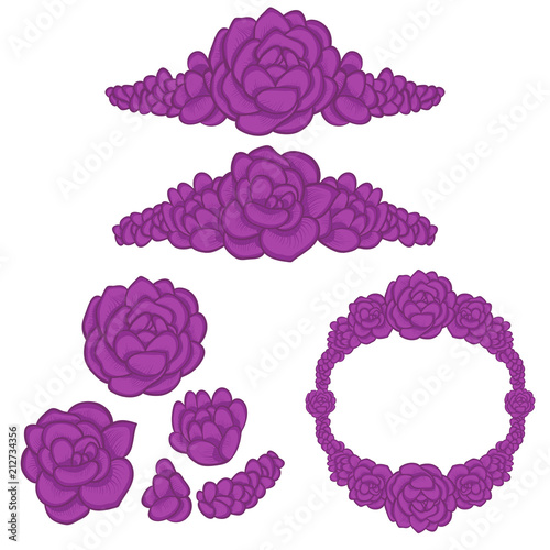 Violet succulent arrangements