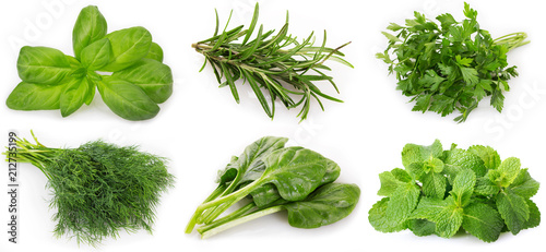 Collection of herbs on white background