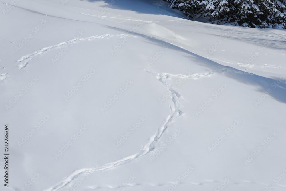 Snow traces at ski resort