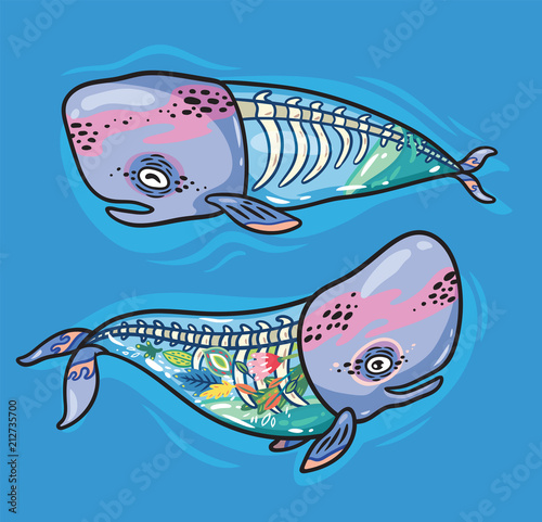 Floral anatomy whales in cartoon style. Vector illustration