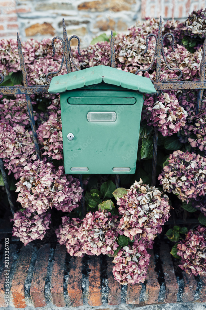 Green mailbox and pink hydrangea Green mailbox and pink hydrangea