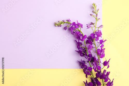 bouquet of purple bellflowers