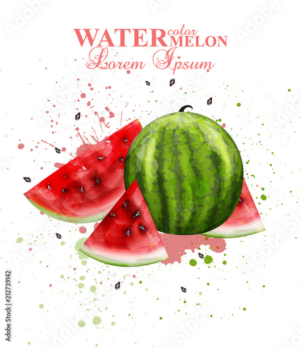 Watercolor watermelon fruit Vector. Fresh and colorful design handmade illust...