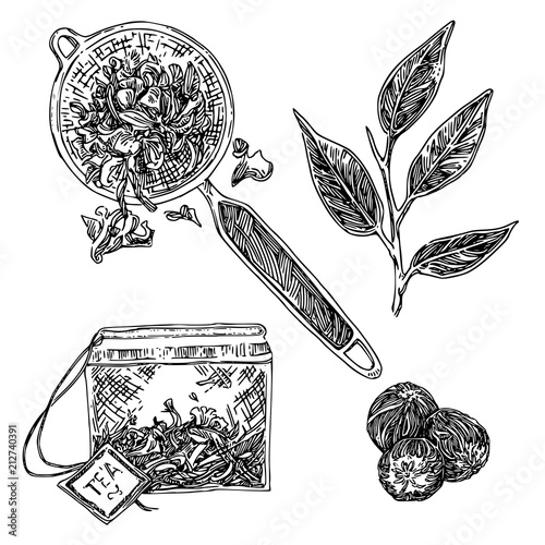 Vintage tea set. Strainer, bag, Chinese tea, branch. Sketch. Engraving style. Vector illustration.