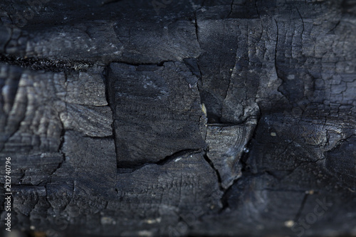 burned wood. black wood from the fire. rings on wood. ash. wood burnt on coal