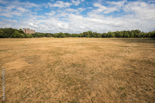 Obraz na plátně Sefton Park main field in heatwave