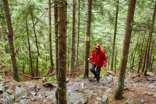 Woman hiking in the forest