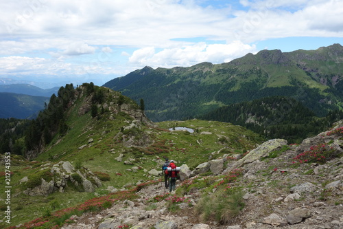 Lagorai mountain range in the eastern Alps in Trentino, Italy 