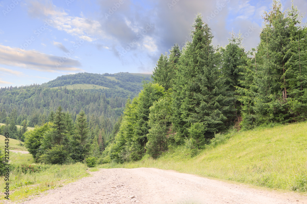 Mountain  road landscape, green forest, blue sky, nature background