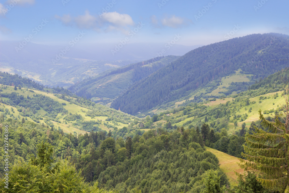 Mountain landscape .Beautiful nature background with green coniferous forest ,mountain peaks and blue sky.Carpathians Mountains,Ukraine