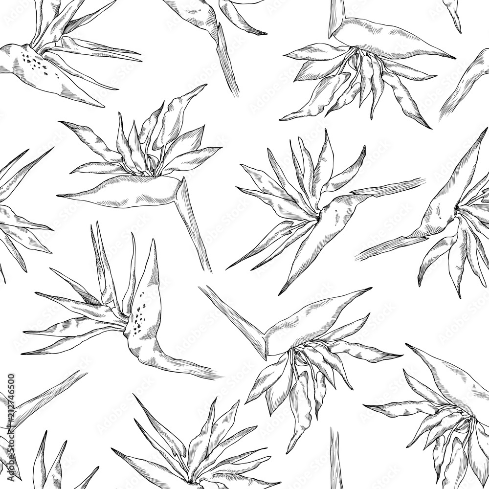 Seamless pattern of linear strelitzia collection. Vector exotic flowers of a paradise bird. Sketch style. Repeating background for textile, wallpaper, surface, summer decoration, posters, invitation