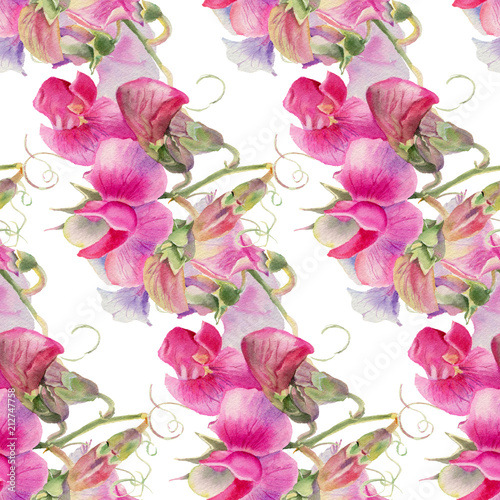 Fototapeta Naklejka Na Ścianę i Meble -  Pink watercolor wildflowers
