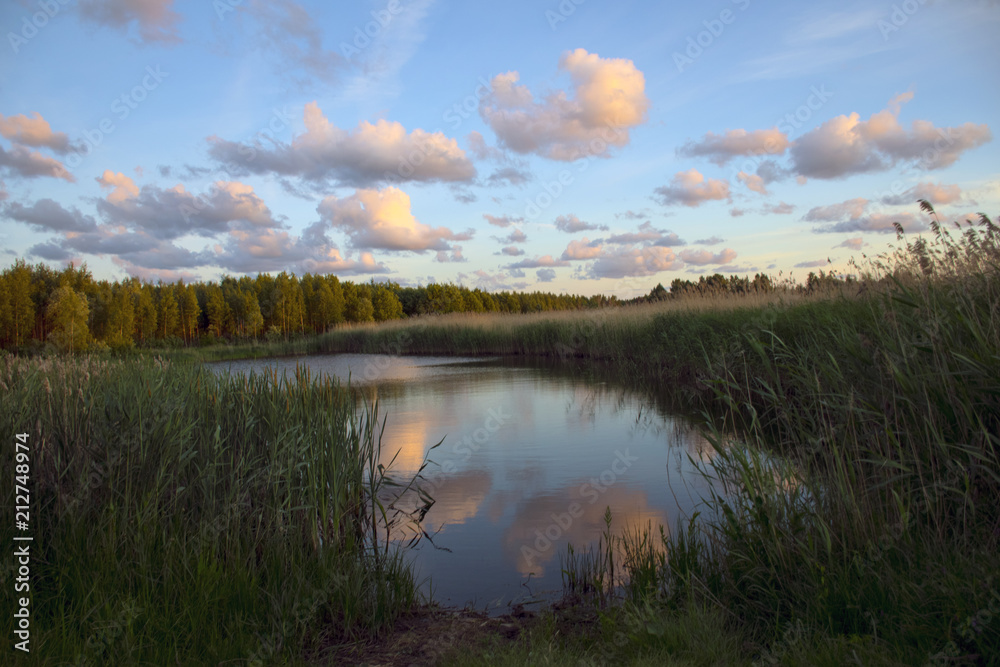Fototapeta premium nad morzem