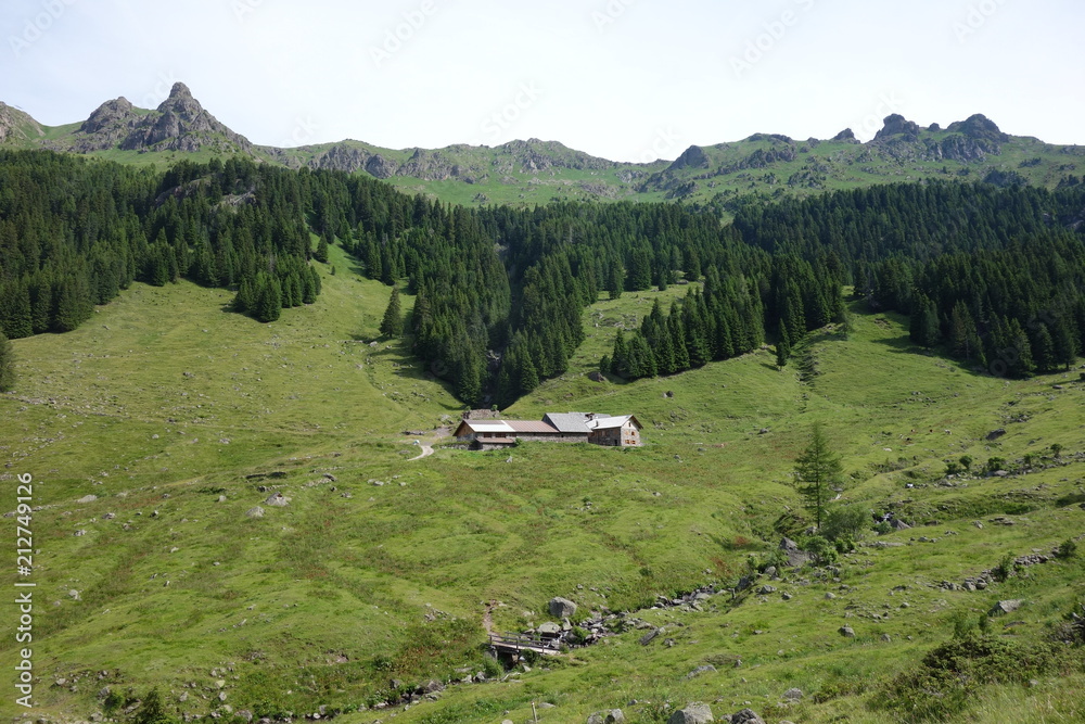  Lagorai mountain range in the eastern Alps in Trentino, Italy