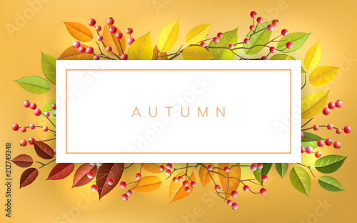 Autumn banner frame with red berry and autumn branches and leaf. Horizontal banner with fall colors for nature design and background