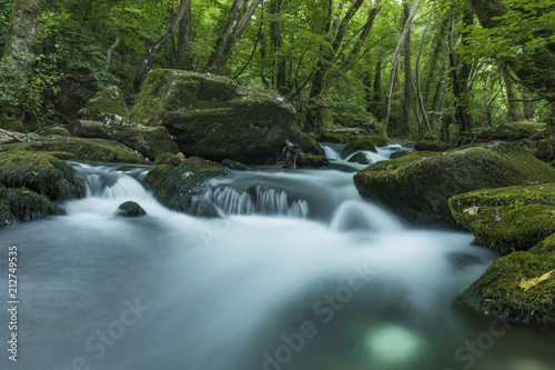 Fototapeta Naklejka Na Ścianę i Meble -  Water flows down a gentle, rocky stream in the mountains surrounded by lush green foliage in this long exposure scenic landscape.
