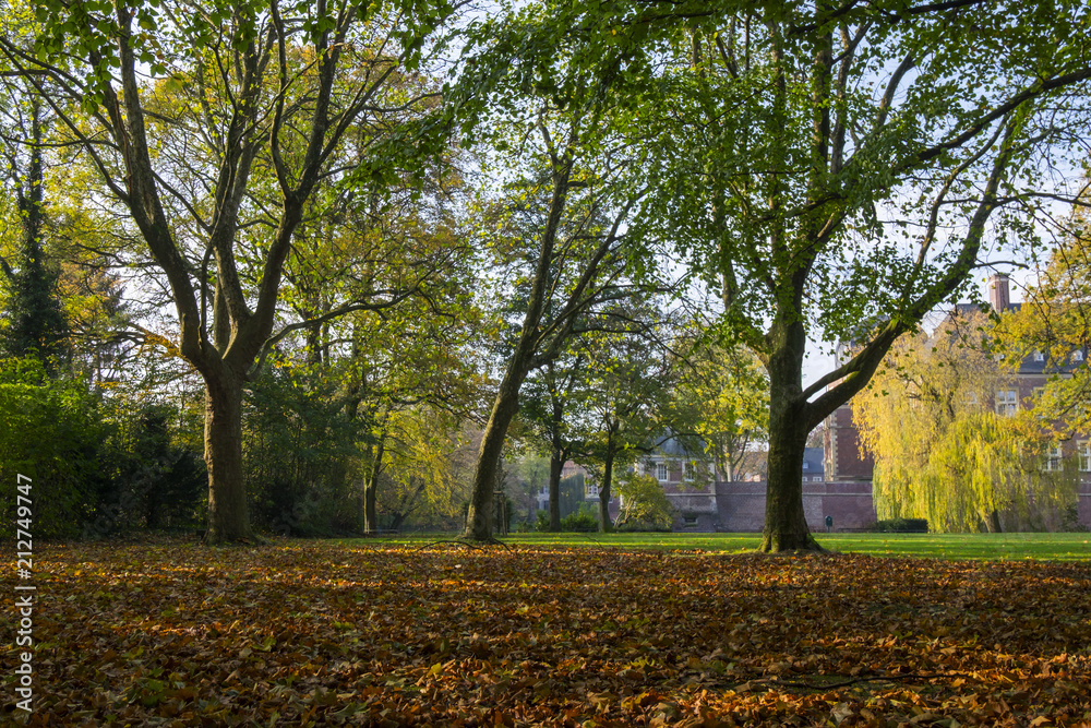 Schloßpark Ahaus, Herbst Schloßpark Ahaus, Herbst