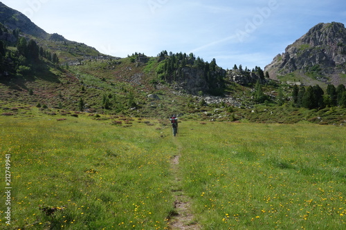 Lagorai mountain range in the eastern Alps in Trentino, Italy photo