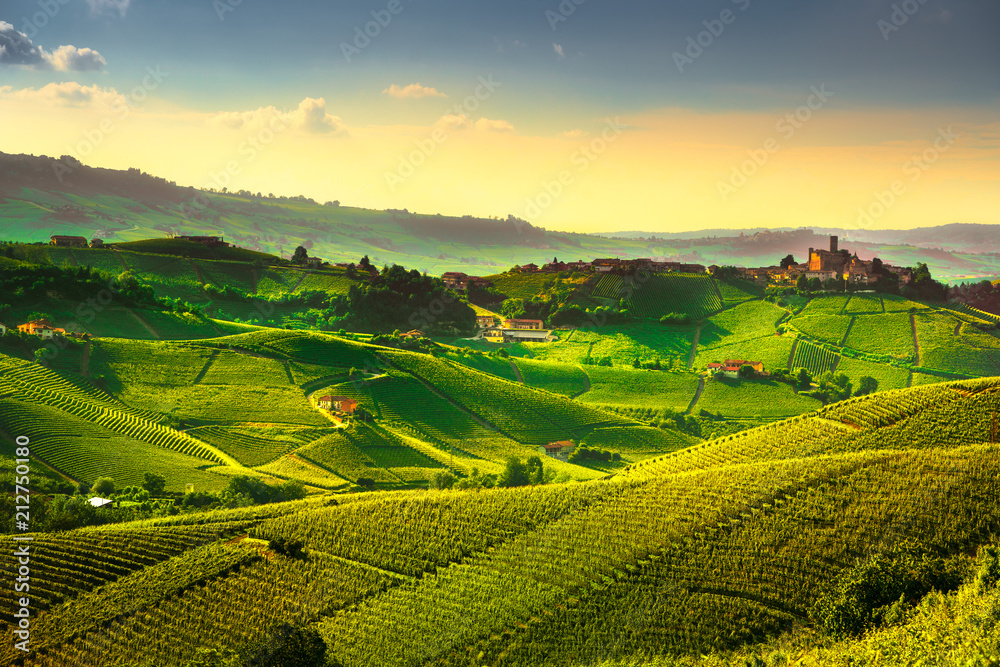 Langhe vineyards sunset panorama, Castiglione Falletto, Piedmont, Italy Europe.