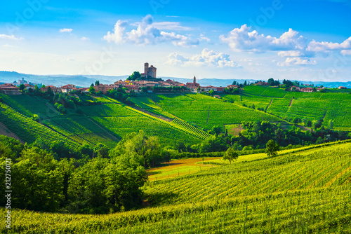 Langhe vineyards sunset panorama, Serralunga Alba, Piedmont, Italy Europe. photo