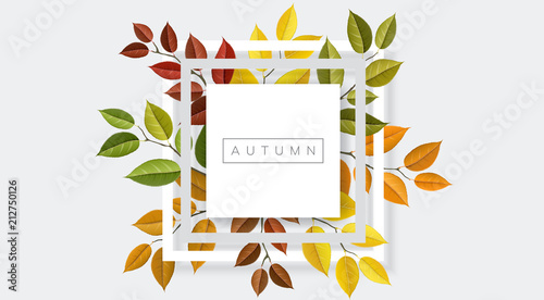 Autumn nature geometric frame with branches and leaf. Vector illustration for fall nature design and background