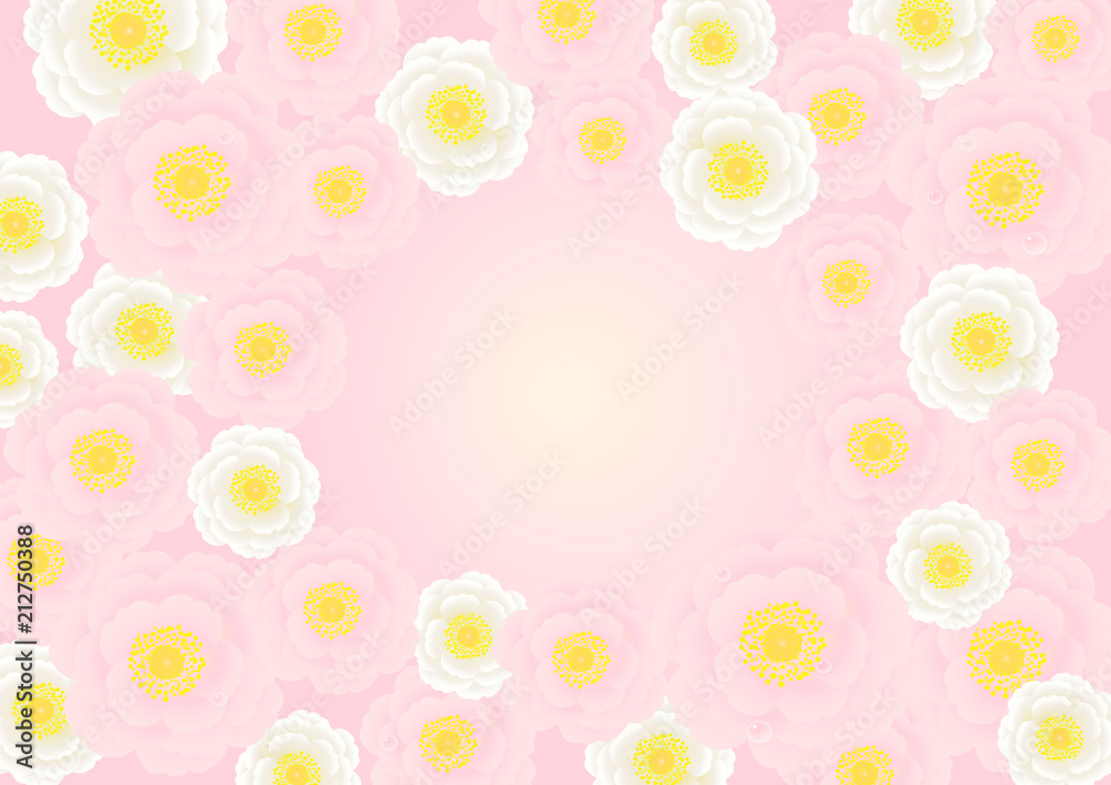 白とピンクのバラの花のフレーム背景