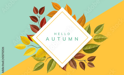 Geometric paper frame with autumn branch and leaf, with fall colors. Vector illustration for nature and autumn related design and banner