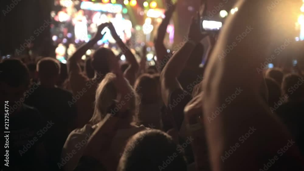 Spectators at the concert - slow-motion Spectators at the concert - slow-motion