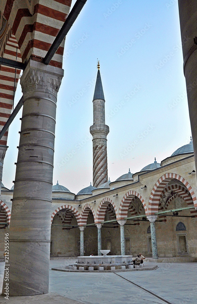 Fototapeta premium Tree Minaret Mosque
