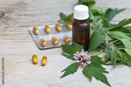 Leaves and flowers of a medicinal plant of the motherwort (Lat. Leonurus) and a sedative medicines on a wooden background. Free space for text. Close-up view