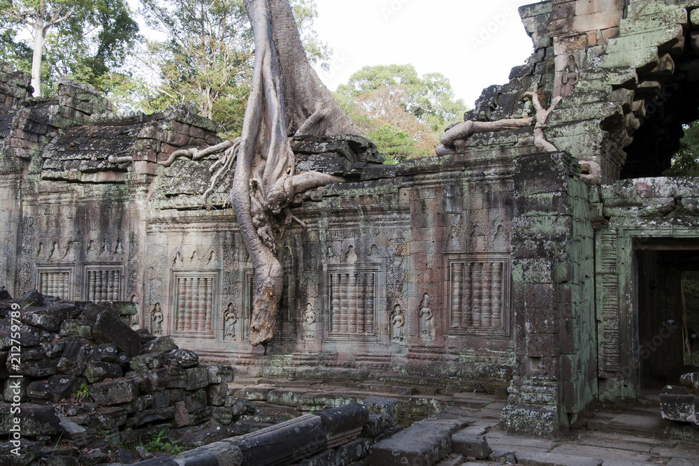 Angkor Cambodia, Spung tree roots encasing the decorated wall at 12th century Preah Khan temple